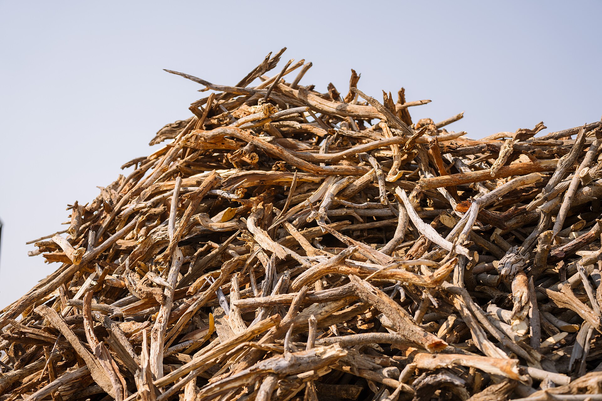 Forestry residue: the only feedstock at plausible scale, and it is dispersed, wet and seasonal.