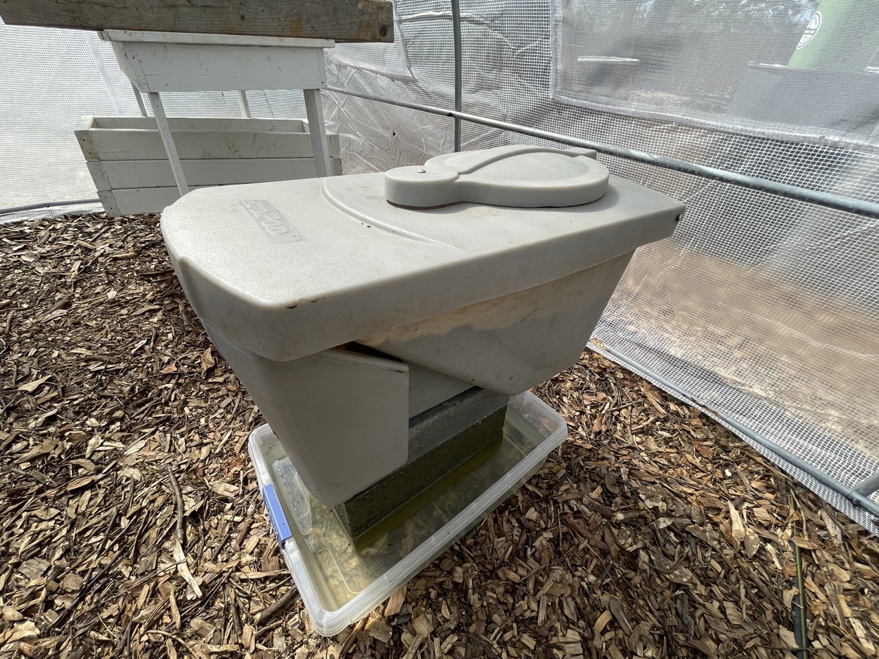 Black Soldier Flies Convert Food Waste Fast. The Constraint Is the Law.