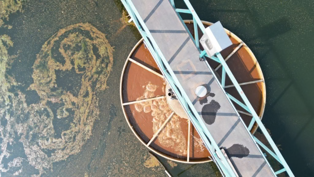 Clarifiers seen from above. The whole point of the coagulant is to make particles heavy enough to fall out here.