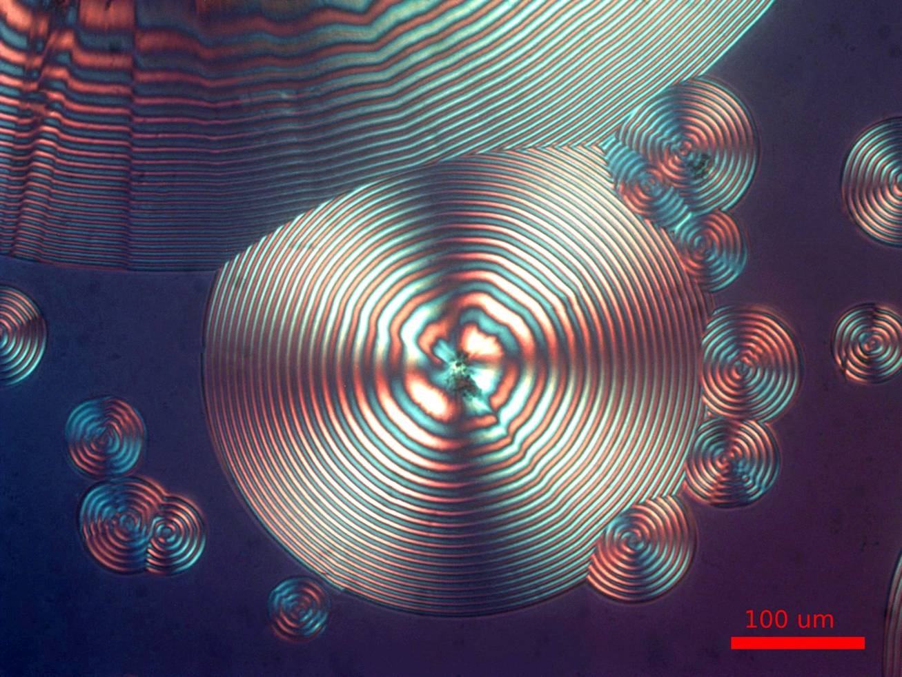 Spherulitic crystals of PHB under the microscope. A real semicrystalline polymer, with the brittleness that implies.