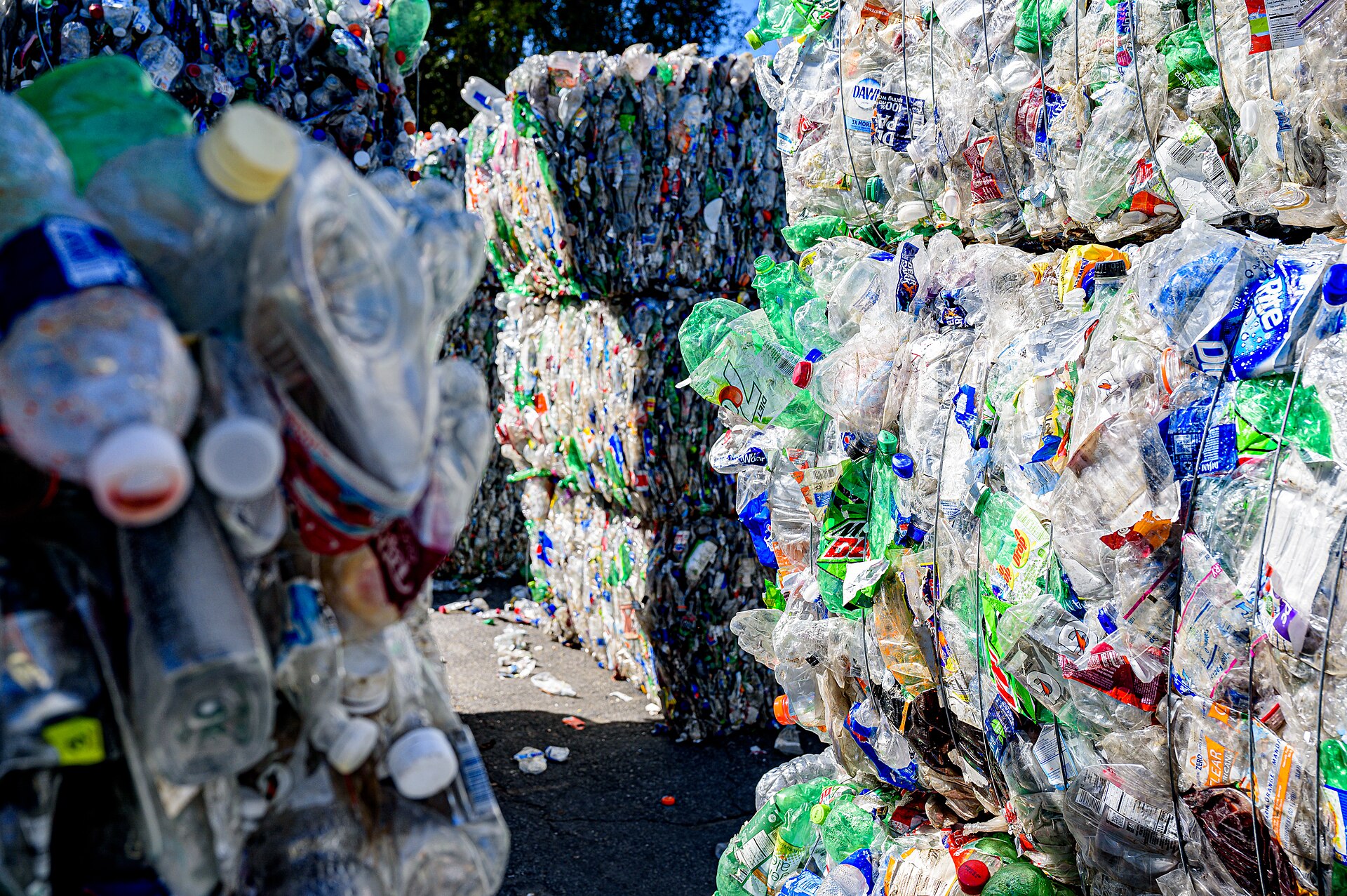 A sorting facility can reject an entire load. Downstream economics is what makes an excluded item excluded.