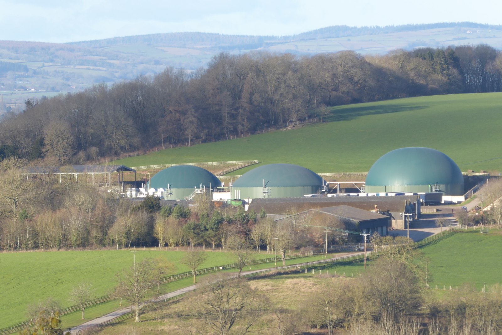 On-site use is a real market. It is a smaller and lower-value one than grid injection.