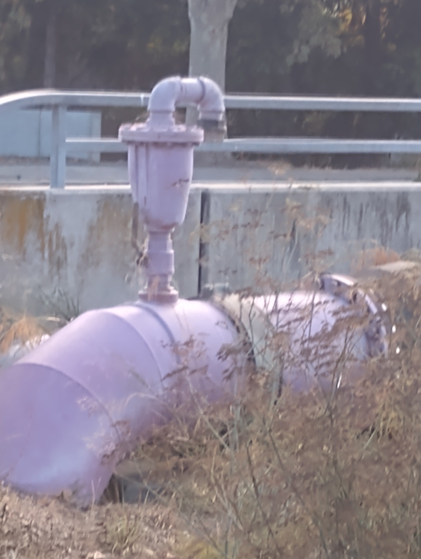 Purple pipe exists because colour-coding is a more reliable safety control than expecting people to read a label.