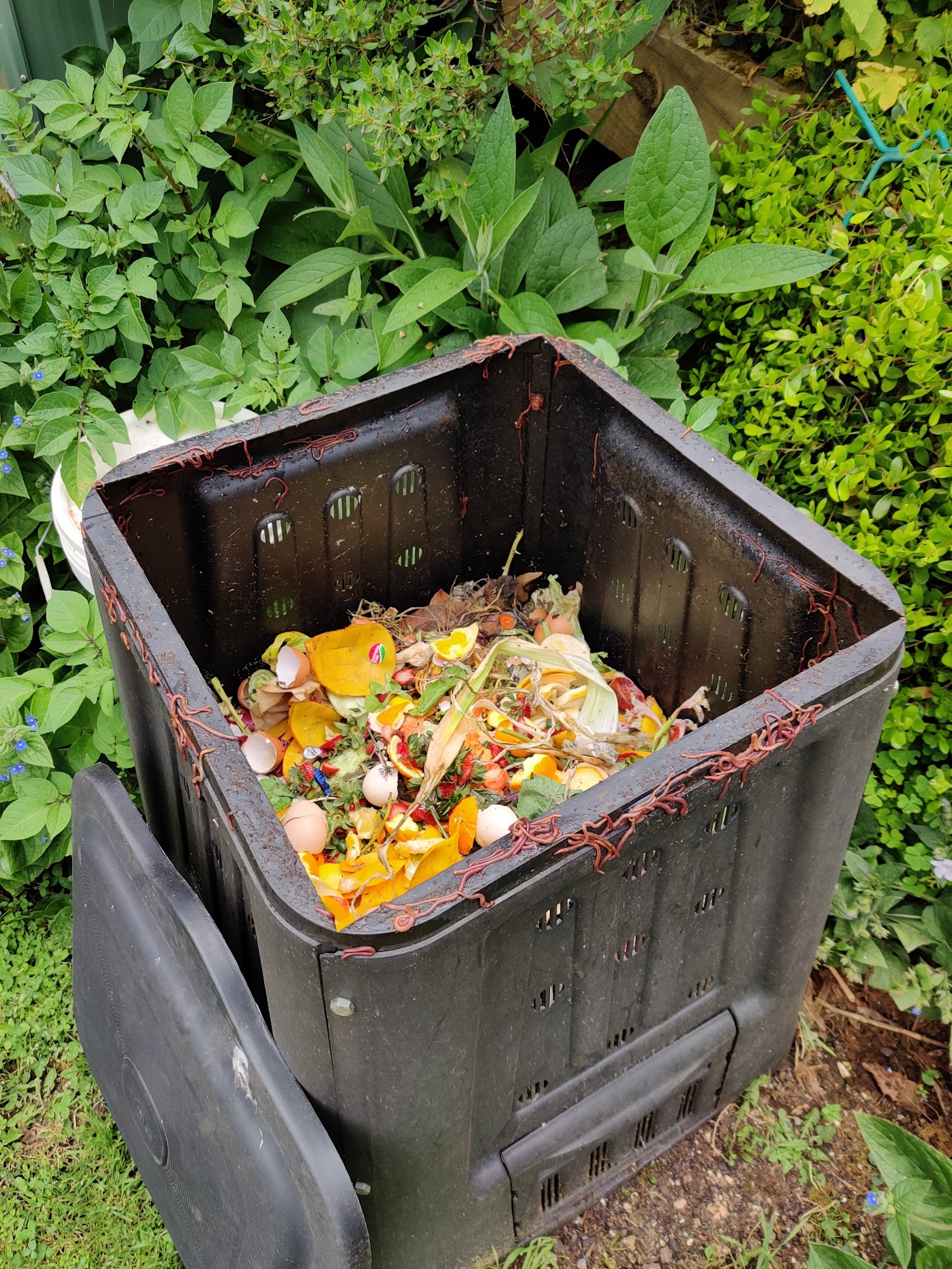 "Compostable" Is a Facility Spec, Not a Property of the Object