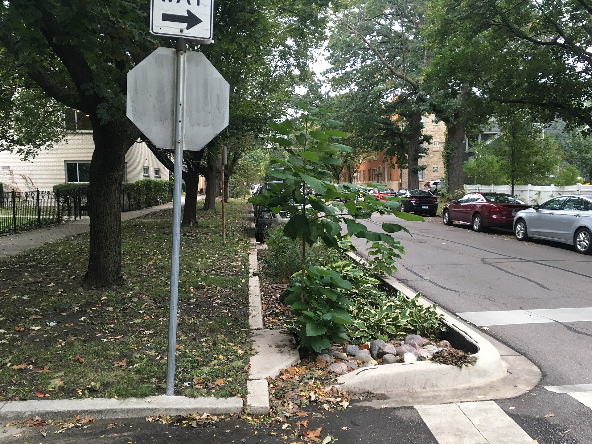 A street bioswale. Its performance depends heavily on how wet it was before the storm arrived.