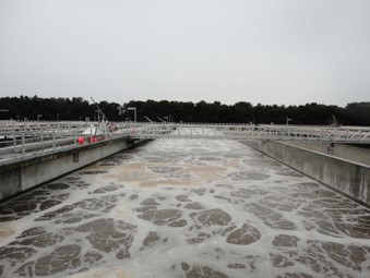 An activated-sludge aeration tank. Superb at biodegradable organic matter. Not built as a pharmaceutical barrier.