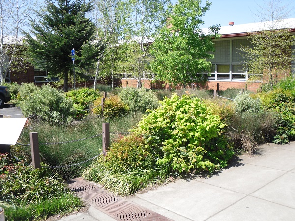 Rain gardens that think ahead