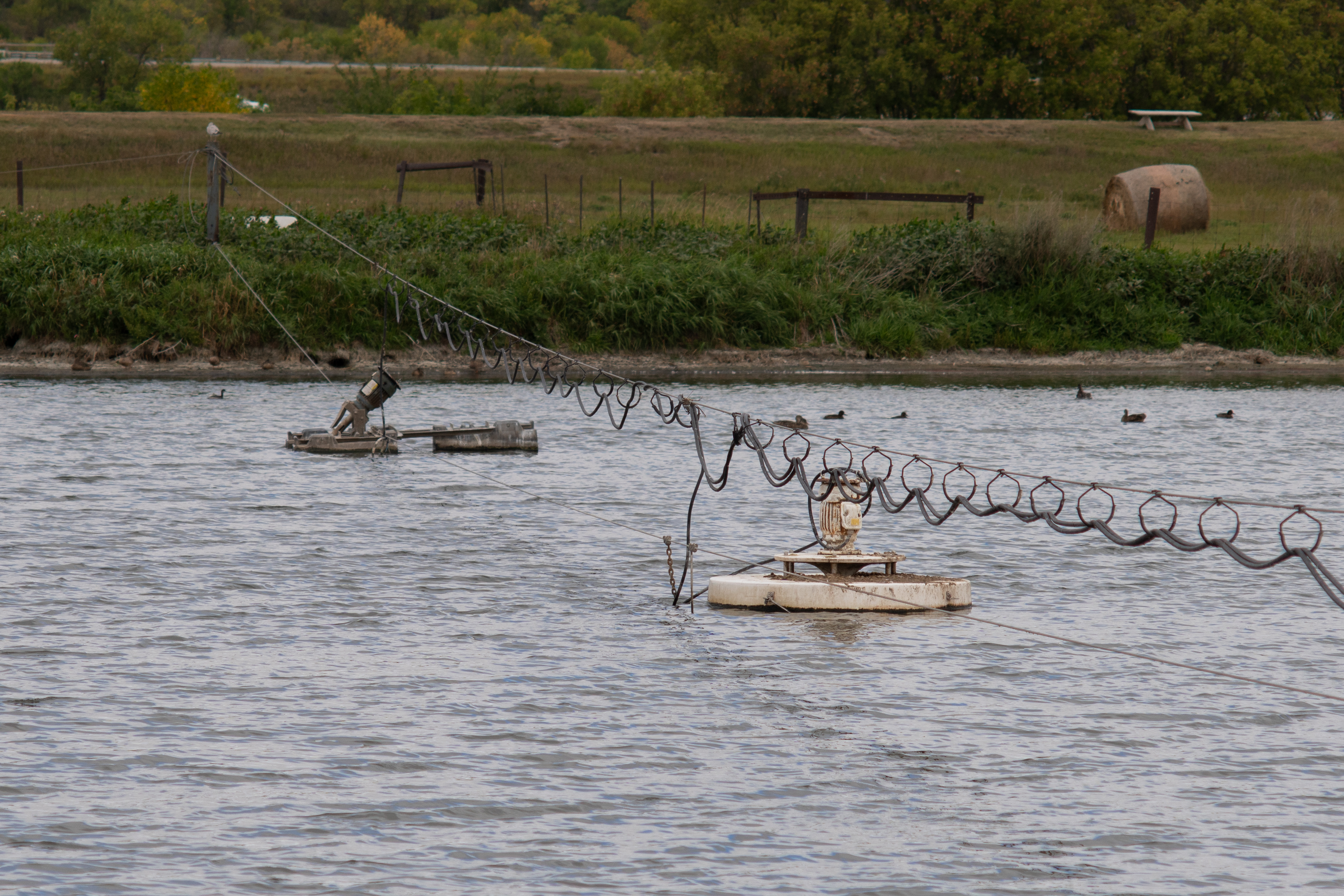 Surface aerators. The same mixing energy that drives oxygen in drives dissolved methane out.