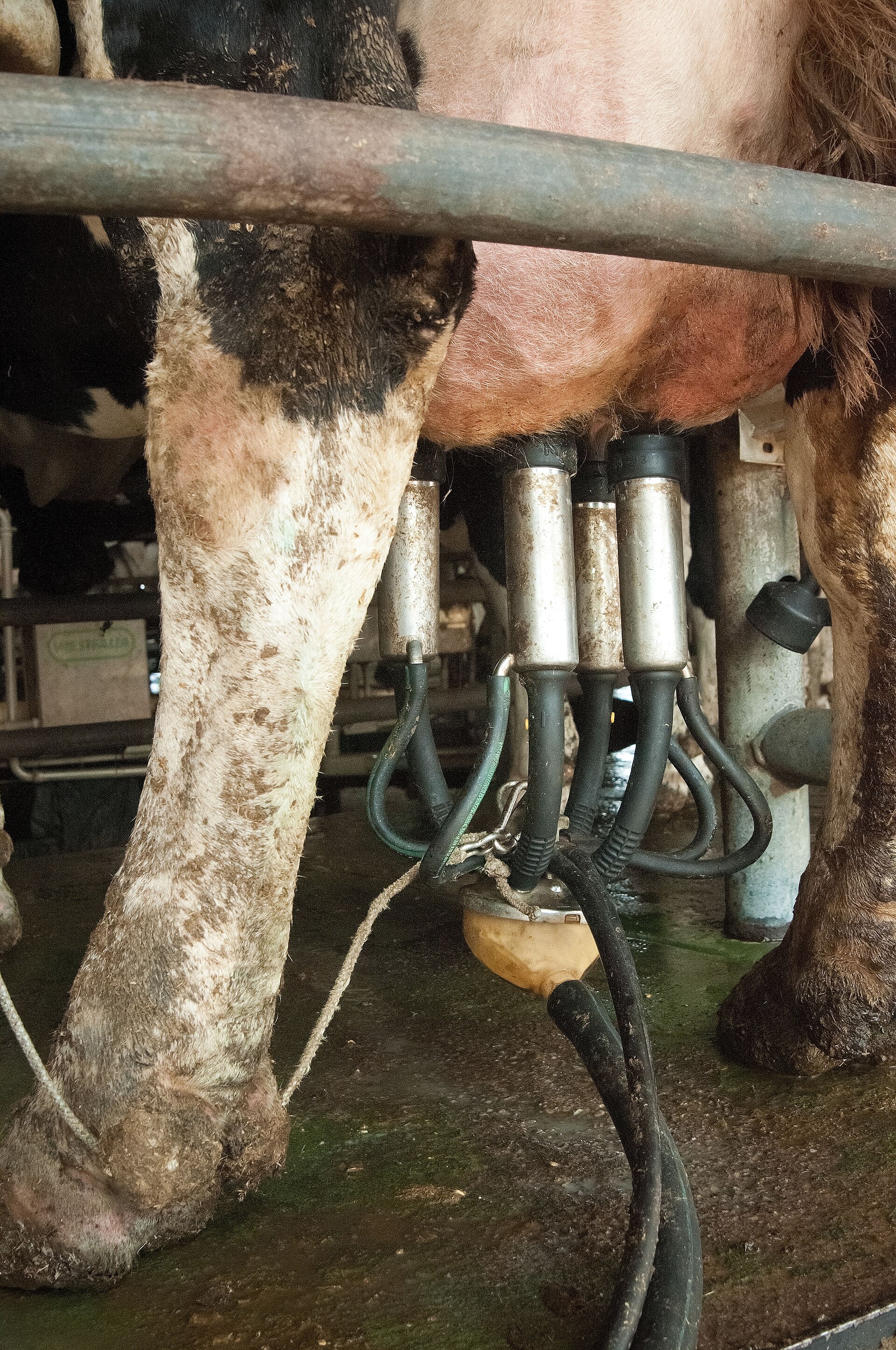 On-farm digestion. The economics here rarely justify a second stage, and that has not changed.