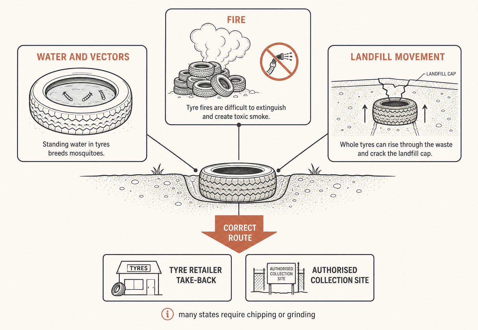 Water and vectors, fire, and landfill movement — plus the route that avoids all three.
