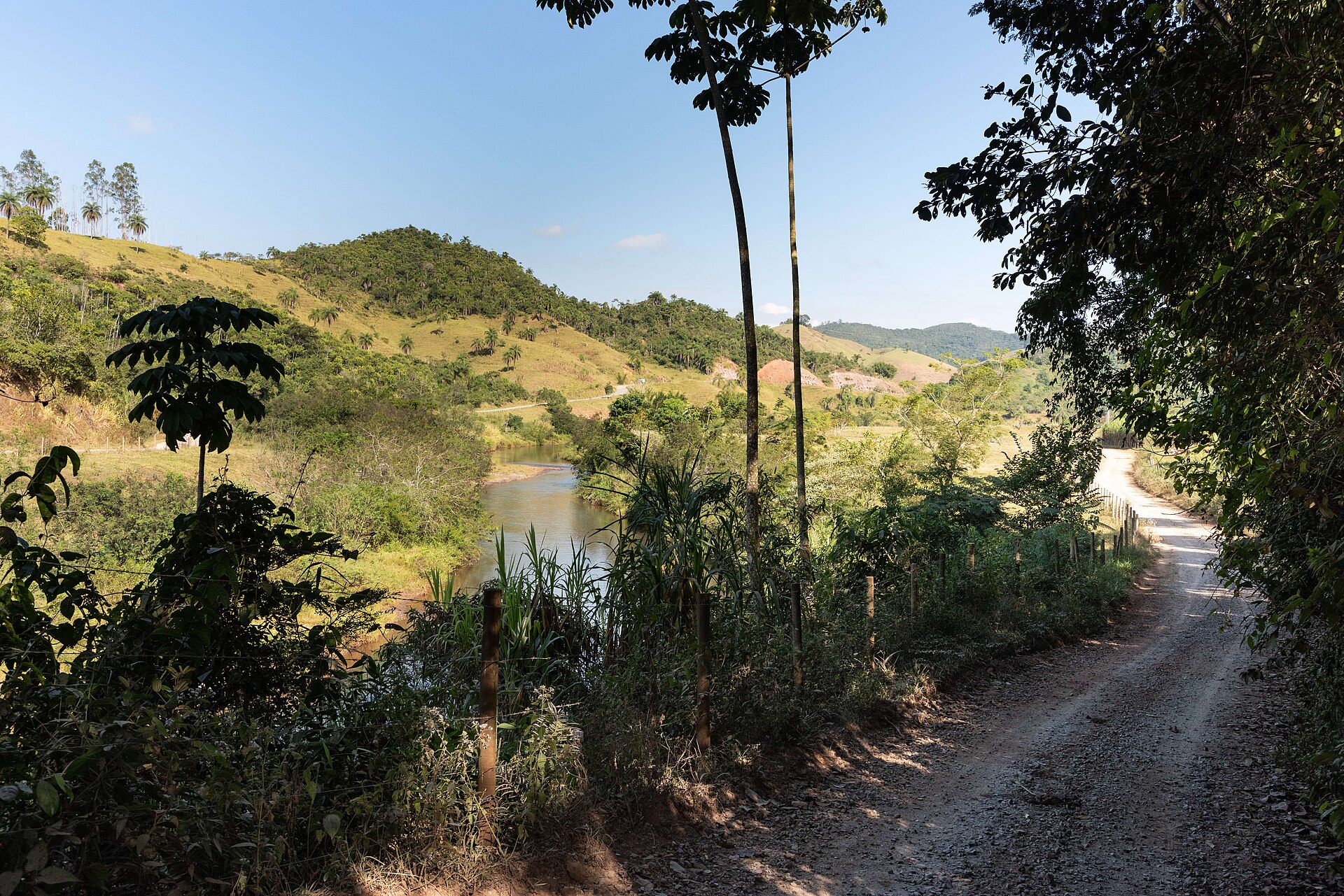 Tailings mud in a Brazilian river system after a dam failure.