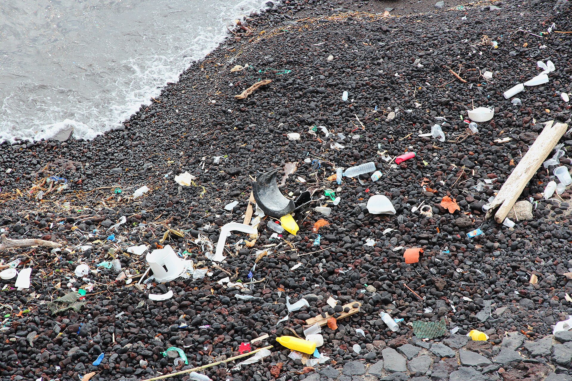 The Ocean Cleanup Says 50 Million Kilograms. Here Is What That Is a Fraction Of.