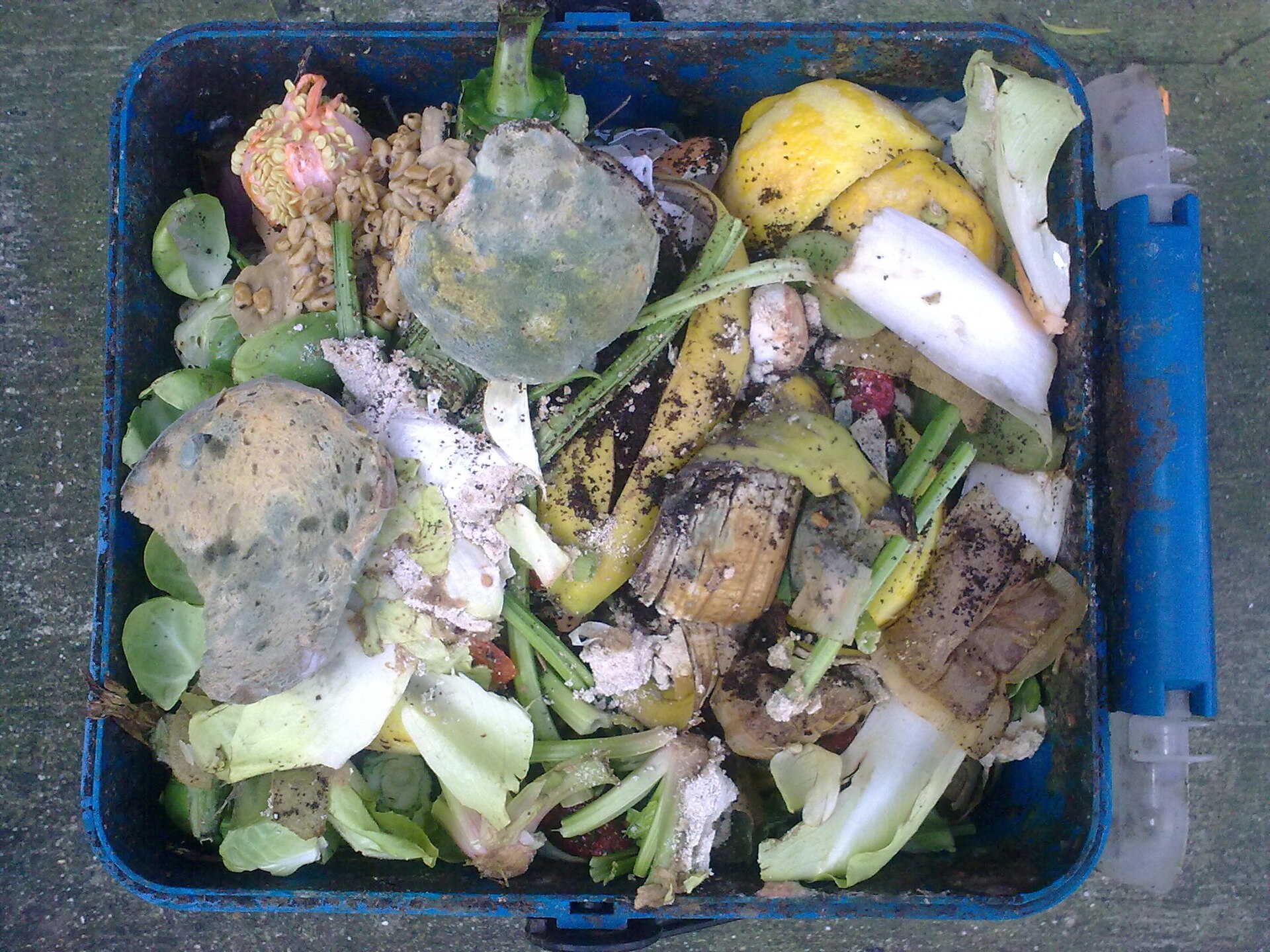 Coway's Microbial Food Waste Disposer: 0.7 kg a Day and One Unverified Number