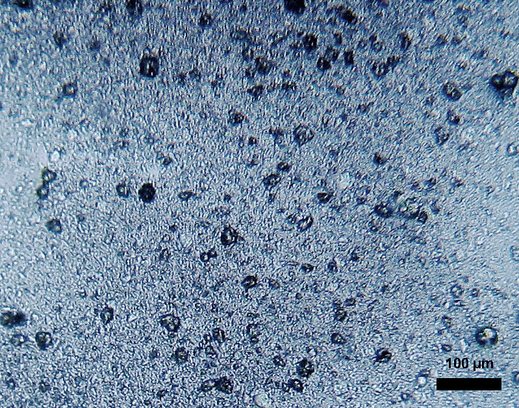 Magnetic Microrobots for Microplastics: What the Numbers Actually Show