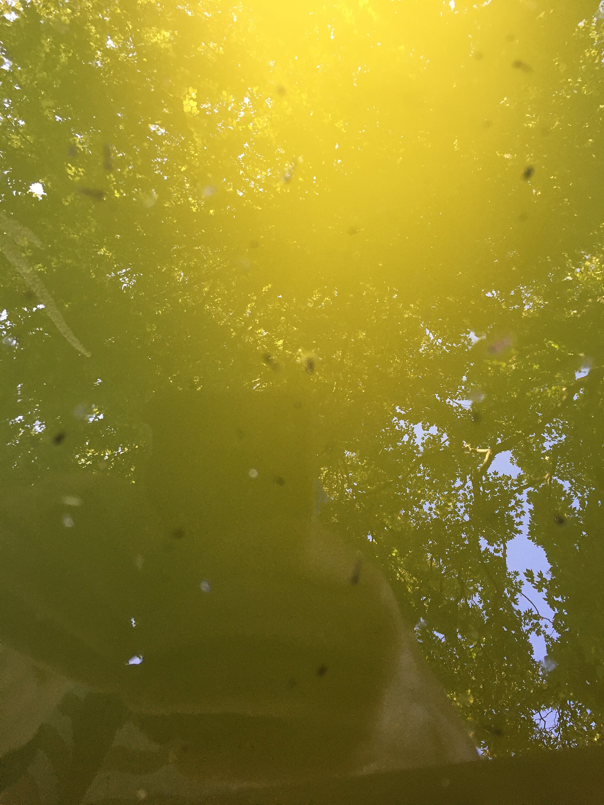 The geometry is the hazard. Standing water inside a casing does not drain and does not dry out.
