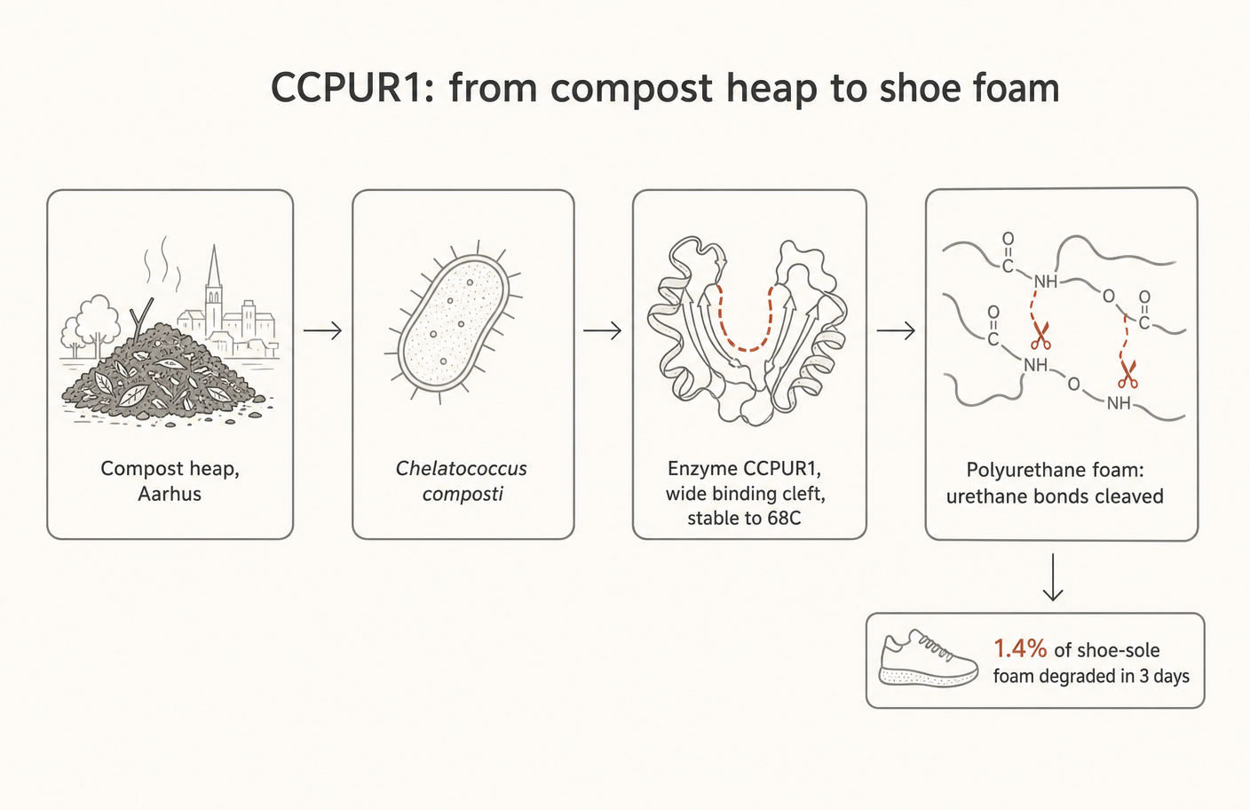 From compost heap to shoe sole, with the measured result attached.
