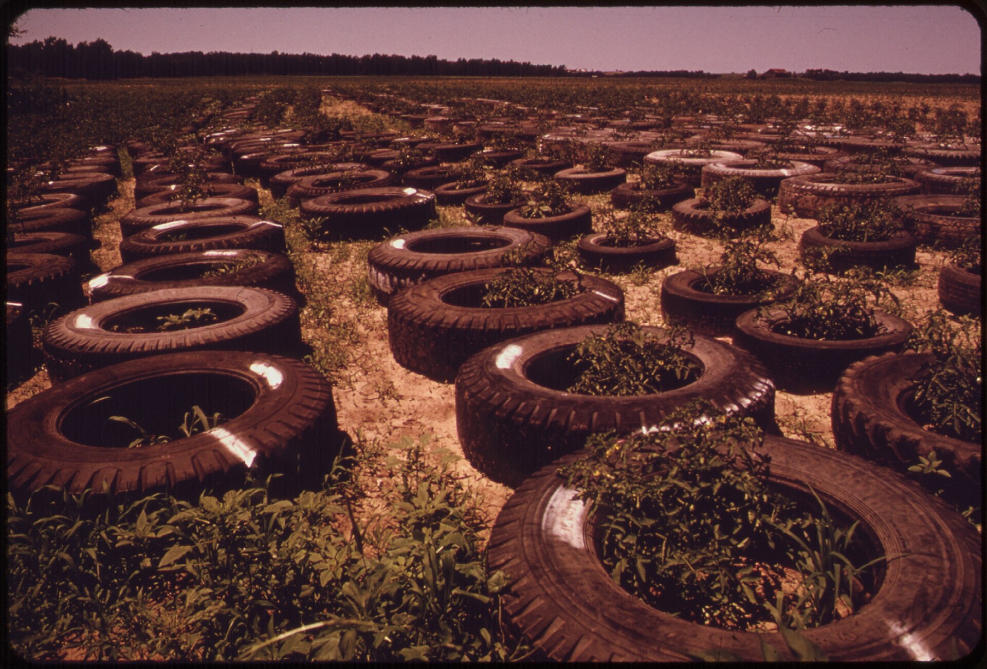Pirelli, Pyrum, BASF and Synthos: A Tyre Loop With an Accounting Step in the Middle