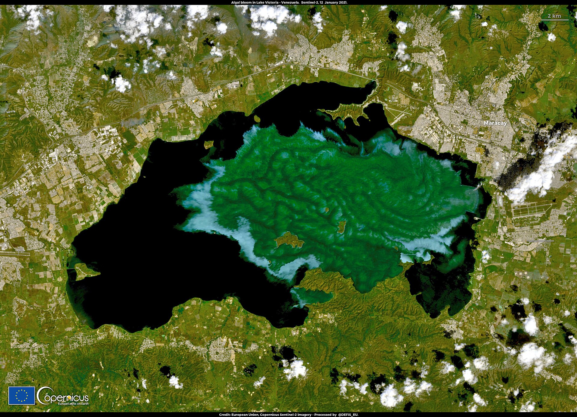 Lake Valencia, Venezuela, from orbit. This is what dissolved nutrients look like at landscape scale.