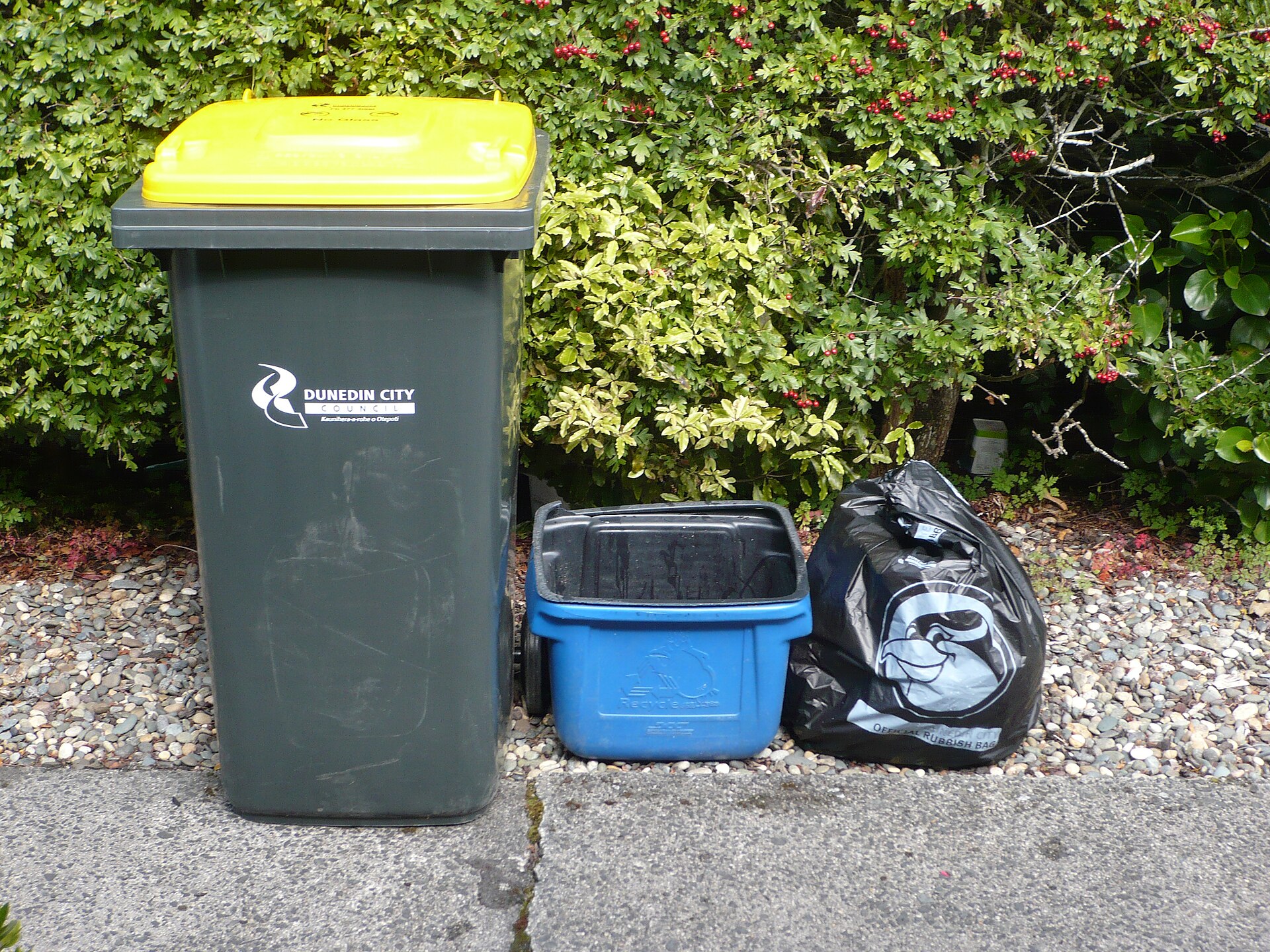 Two bins, one label system, and no relationship between them. Acceptance is set by the collection contract, not by the mould.